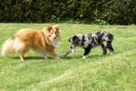 merly und sky 14